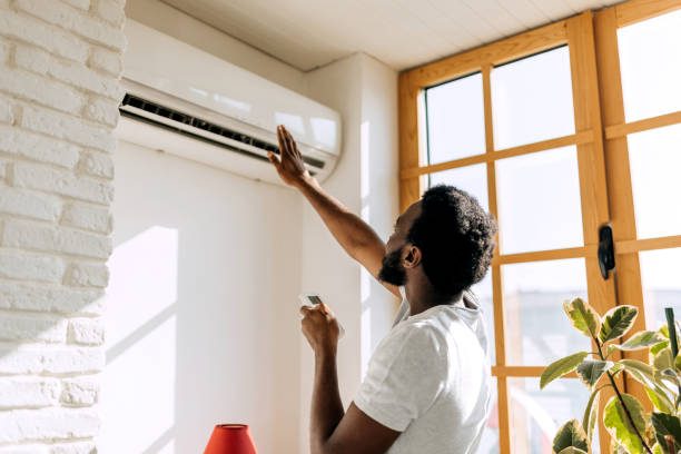 Best Ductless Mini-Split Systems in South Gull Lake, MI