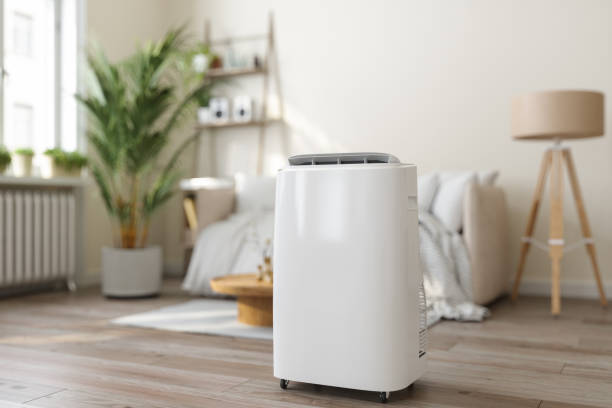 Best VRF (Variable Refrigerant Flow) Systems in South Gull Lake, MI